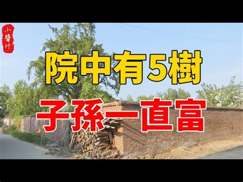 後院種樹風水|【後院種樹風水】後院種樹風水妙招！4種旺宅添福樹、3種大忌樹。